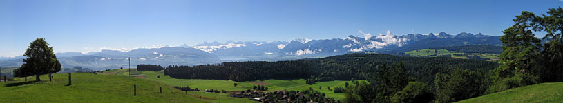 Buetschelegg_Sommer